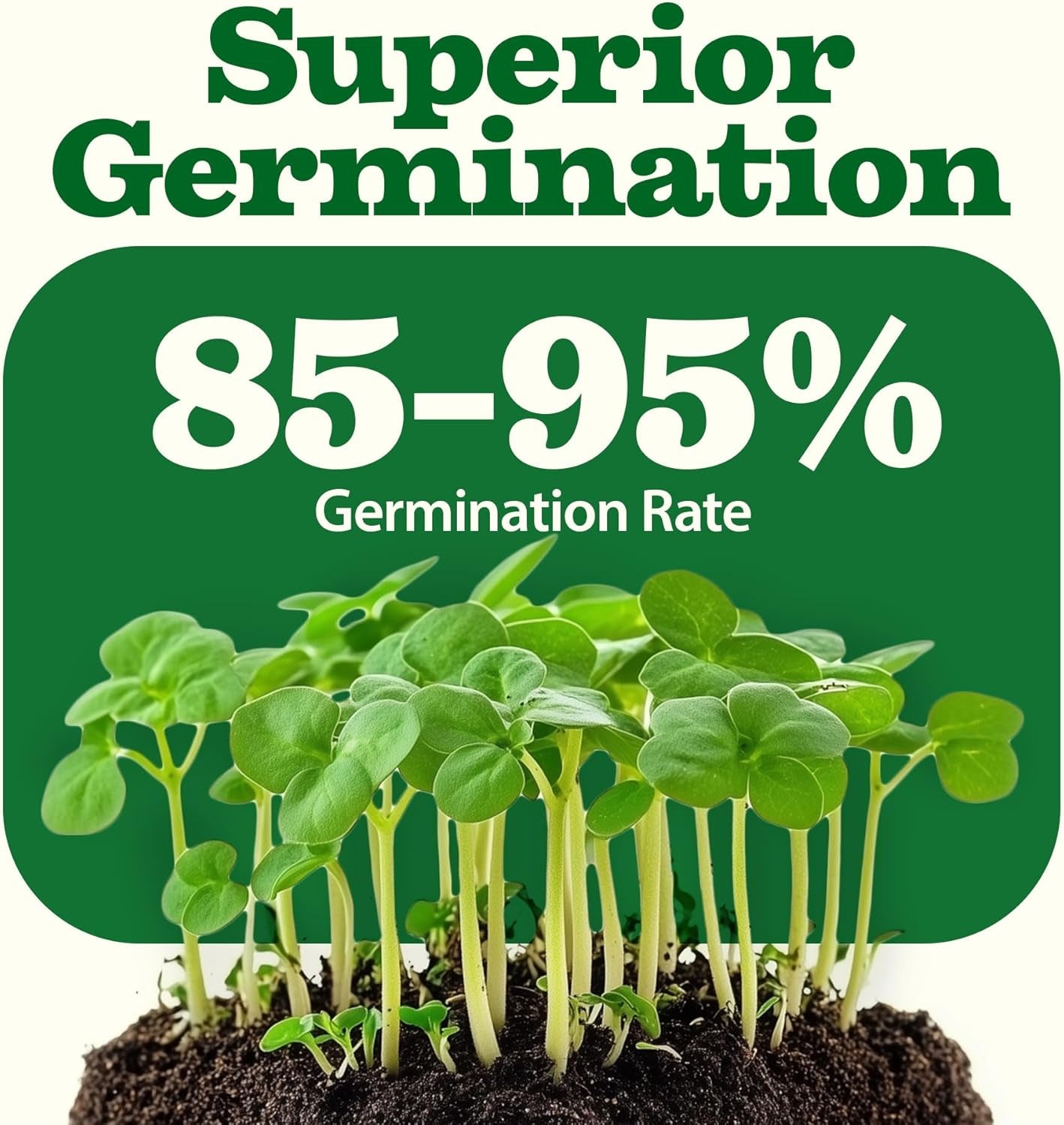55 Vegetable Seeds Pack 28,000+ Non-Gmo Heirloom Seeds for Planting Vegetables, Survival Seed Vault, Garden Kit for Spring Fall Winter, Gift for Gardeners