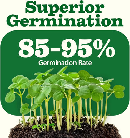 55 Vegetable Seeds Pack 28,000+ Non-Gmo Heirloom Seeds for Planting Vegetables, Survival Seed Vault, Garden Kit for Spring Fall Winter, Gift for Gardeners